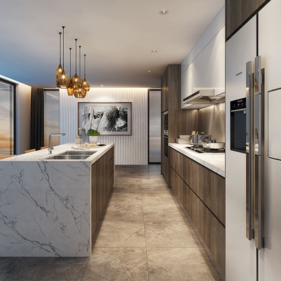 Mobilia di lusso su ordinazione della cucina del CE, armadio da cucina del flat pack