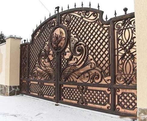 Porta principale della Camera esterna, progettazione galvanizzata del portone del ferro battuto nuova