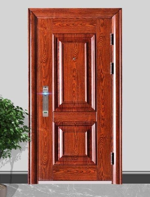 Porta del tubo principale del ferro dell'entrata, porte d'acciaio d'apertura laterali di sicurezza di progettazione