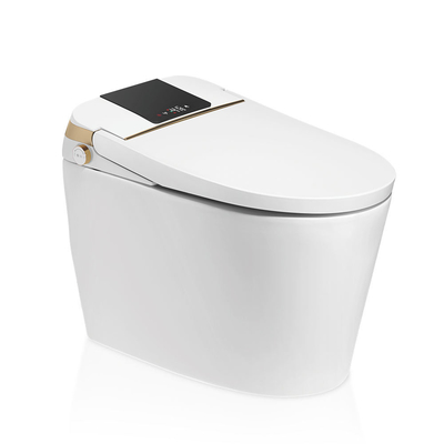 Sciacquone astuta intelligente del bagno del sensore del bidet a livello automatico elettrico di lusso del Wc