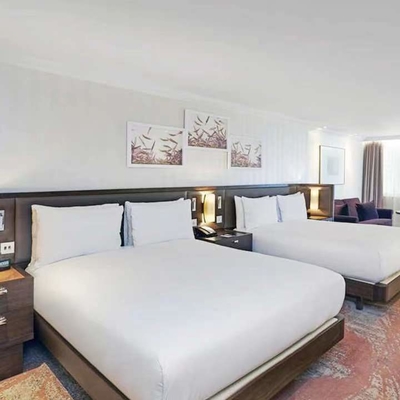 La lettiera di qualità superiore professionale dell'albergo di lusso dello SGS mette anti Corrsion