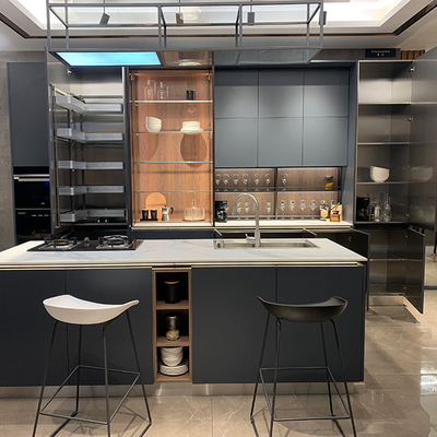 Cad che estrae gli armadi da cucina modulari economici con le porte della pittura della lacca