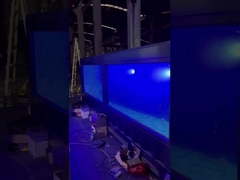 Piscina prefabbricata modulare cinese del container dello sbocco di fabbrica di alta qualità